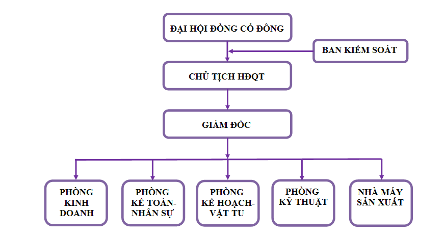 so do to chuc cong ty hung long